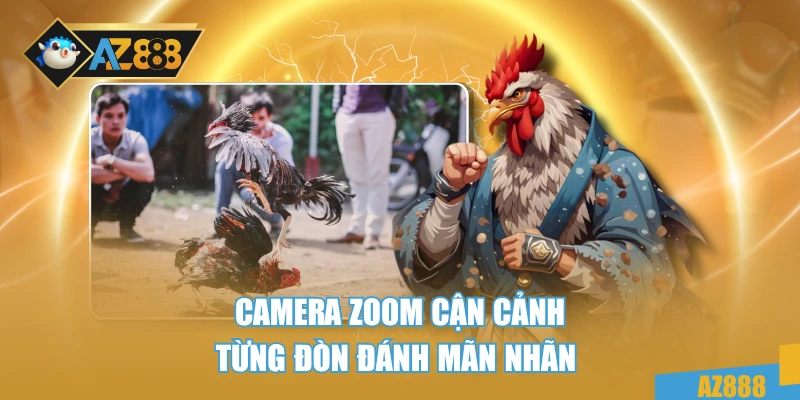 Trực Tiếp Đá Gà 67 Xem Trận Chiến Cực Đỉnh HD Không Lag 2 Camera zoom cận cảnh từng đòn đánh mãn nhãn