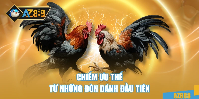 Gà Chọi C1 – Dòng Chiến Kê Bất Bại Trong Mọi Sới Đấu 3 Chiếm ưu thế từ những đòn đánh đầu tiên