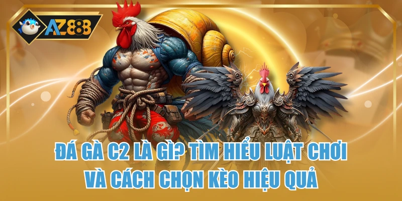 Đá Gà C2 Là Gì? Tìm Hiểu Luật Chơi Và Cách Chọn Kèo Hiệu Quả 1 Đá Gà C2 Là Gì? Tìm Hiểu Luật Chơi Và Cách Chọn Kèo Hiệu Quả
