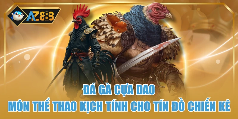 Đá Gà Cựa Dao – Môn Thể Thao Kịch Tính Cho Tín Đồ Chiến Kê