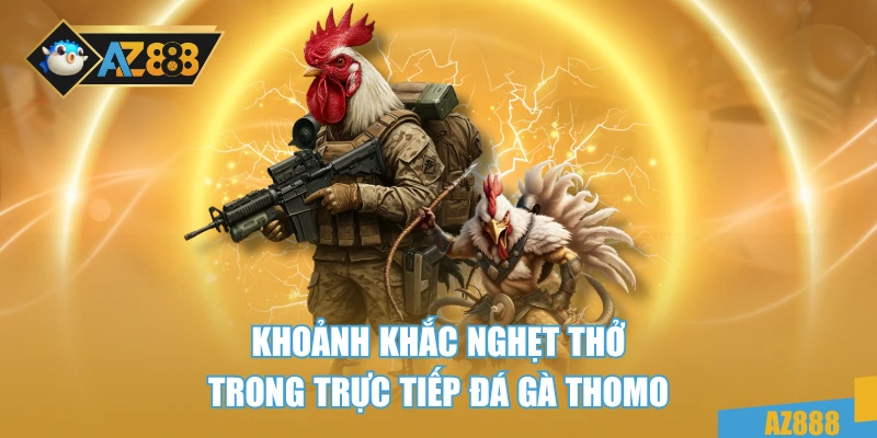 Khoảnh khắc nghẹt thở trong trực tiếp đá gà Thomo